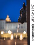 The tipical Bullhead fountain of the city of Turin, Piedmont, Italy.