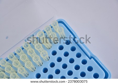 Tips for micropipettes. There are two types of tips for micropipettes, yellow and blue.