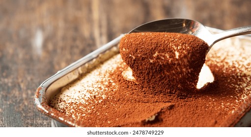 tiramisu cake on plate, tiramisu