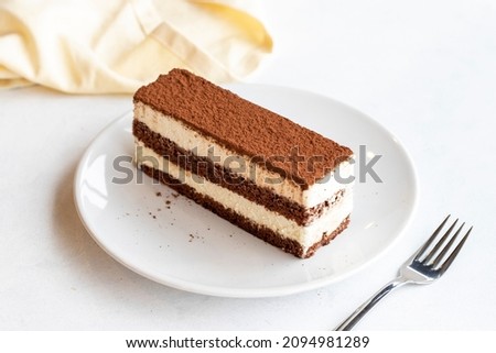 Tiramisu dessert on a white background. Italian sweet dessert concept. Plate of tiramisu cake. close up. selective focus. Horizontal view.