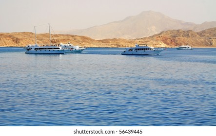 Tiran Island In Egypt