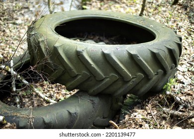 Tire Dump In Woods. Waste In Nature. Wheels From Trucks. Rubber Tires Are Discarded.