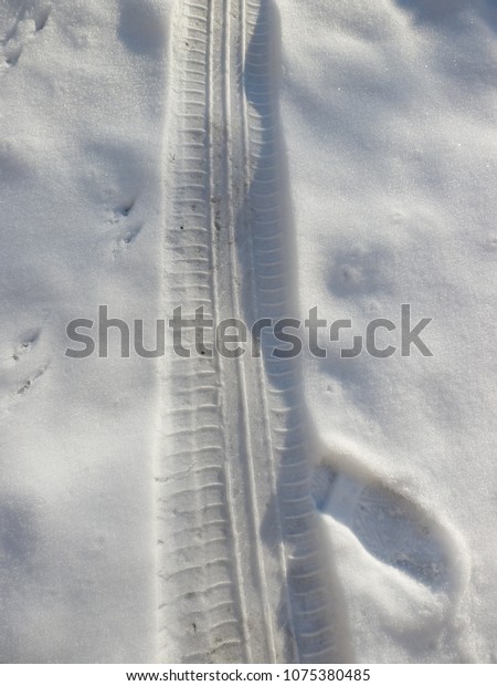 tire mark in the fresh\
snow
