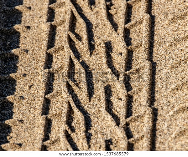 Tire mark\
vehicle on the sand beach, winter\
season
