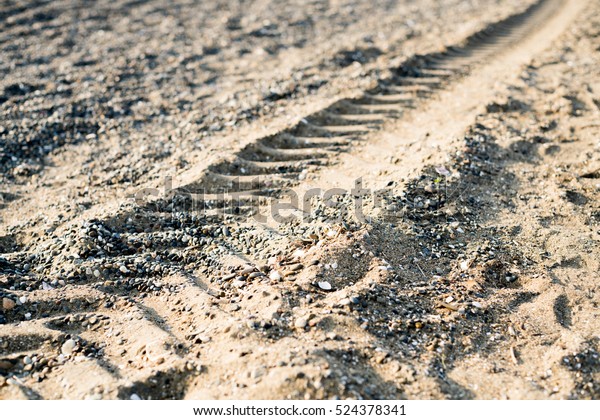 Tire marks on the\
beach