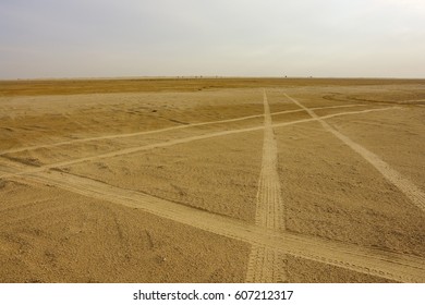 Tire Marks On The Desert Sand