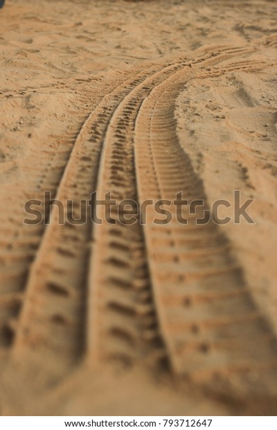 tire marks on the\
sand
