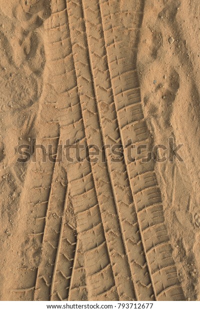 tire marks on the\
sand