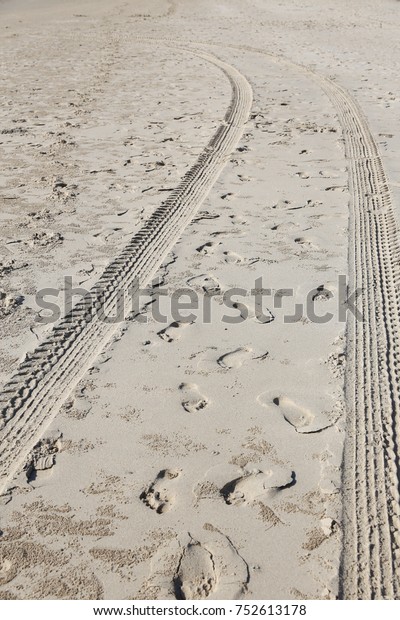 tire print path on sandy\
beach