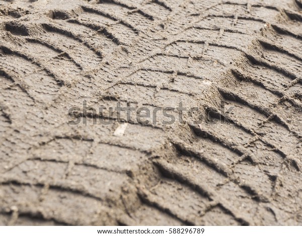 Tire prints in
mud