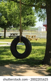 Tire Swing Empty In The Shade