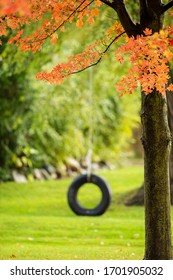 Tire Swing In Front Yard With Fall Color.