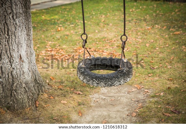 Tire swing hanging on\
a tree in a field