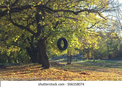 Tire swing hanging from the tree besides the railway