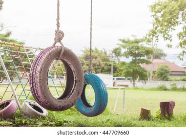 Tire swing hanging from a tree in  the playground.