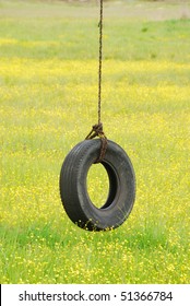 Tire swing hanging from a white oak tree in a field of yellow wildflowers and grass