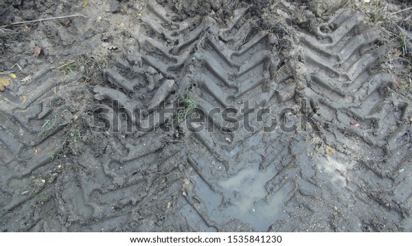 tire track from a truck in
the mud