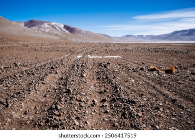 Tire tracks curve through a dry, desert landscape in Bolivia, leading towards snow-capped mountains under a vibrant blue sky. The image captures the rugged, remote beauty of this high-altitude region. - Powered by Shutterstock