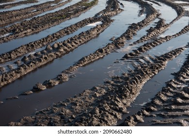 Tire tracks of heavy agricultural machinery filled with frozen puddles on a muddy field