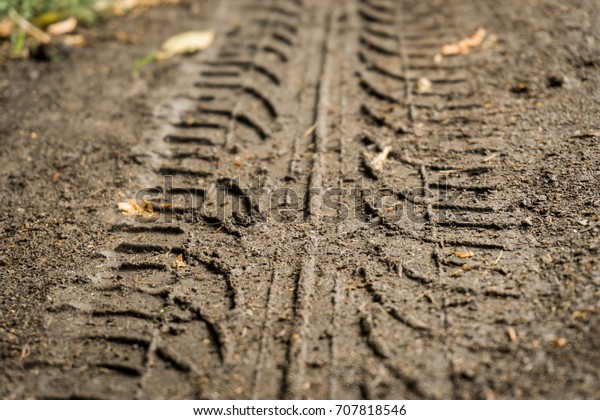Tire tracks in light\
mud