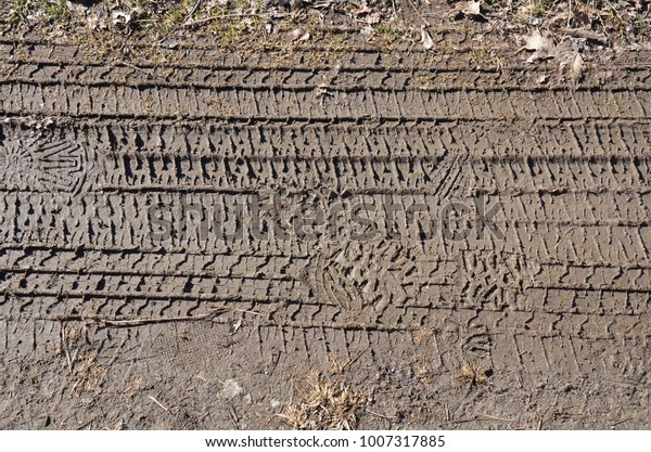 tire tracks in the\
mud