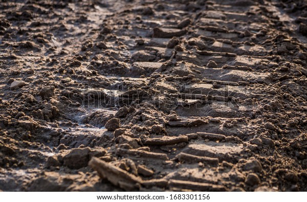 Tire Tracks in Mud\
with Shadows Close Up