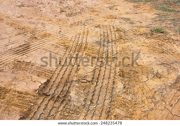 Tire tracks in the\
mud with a yellow dry.