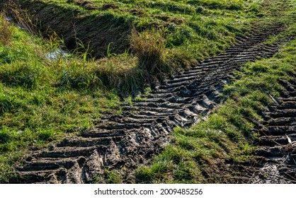 Tire Tracks On A Muddy Field