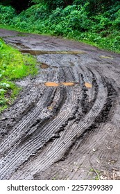 Tire tracks on a very wet dirt road in Tenerife. Canary Islands. Spain - Shutterstock ID 2257399389