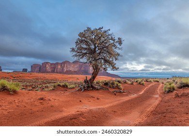 Tire tracks in the remote locations of Monument Valley provide access to scenic locations that are no accessible without hiring a Navajo guide.  

 - Powered by Shutterstock