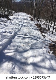 Tire Tracks In Snow