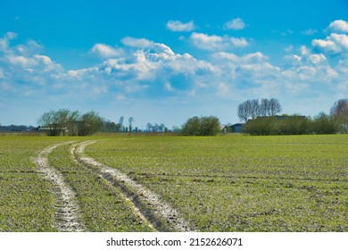 Tire tracks of a tractor through a newly sown field Groningen, in the north of the Netherlands. Trees and farms in the background
