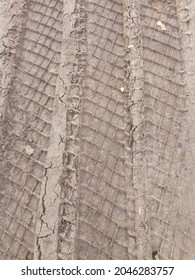 Tire Tread Mark On Wet Sand.