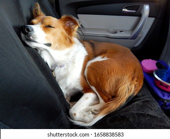 Tired dog sleeping on a car seat during a family road trip
					