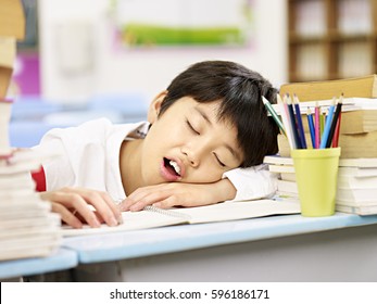 tired and exhausted asian primary school student falling asleep while studying - Powered by Shutterstock