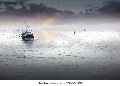 水揚げ の画像 写真素材 ベクター画像 Shutterstock