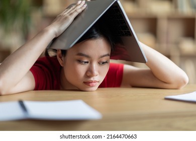 Tired Frustrated Teen Asian Girl Makes Roof With Book On Her Head In Library Or Room Interior. Homework, Prepare For Exam, Overwork, Problems In Education At Home, Difficulties In Study Due Covid-19