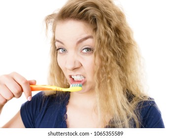 Tired Grumpy And Sleepy Blonde Woman Brushing Teeth Having Crazy Tangled Hair. Oral Hygiene Concept, Isolated Background.