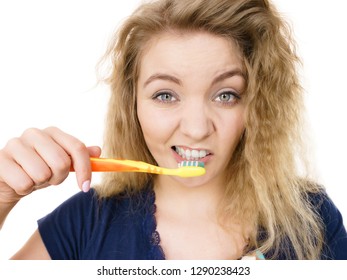 Tired Grumpy And Sleepy Blonde Woman Brushing Teeth Having Crazy Tangled Hair. Oral Hygiene Concept, Isolated Background.