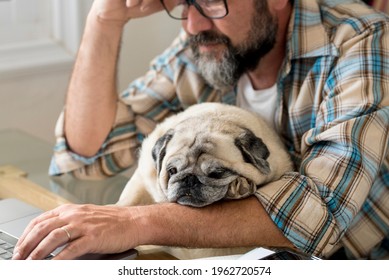 Tired Man Work At Home On Laptop Computer In Online Digital Modern Job - Concept Of Smart Working People Lifestyle - People And Dog Couple Indoor Best Friends Forever And Affection Concept