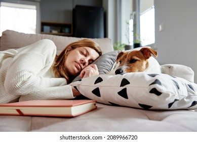 Tired Millennial Woman Sleeps On Sofa With Her Dog