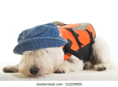 Tired Sailor Dog In Hat And Life Preserver