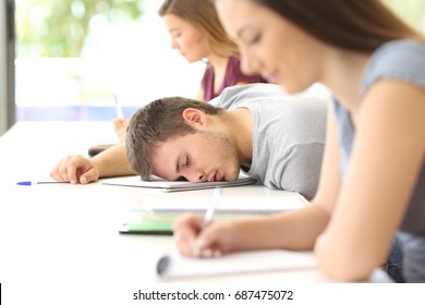 Tired student sleeping in a class at classroom between other classmates - Powered by Shutterstock