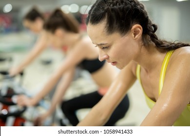 Tired And Sweaty Female Training Hard During Workout On Bike To Get Best Results