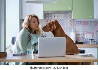 Tired Unhappy Unemployed Woman Sit In Kitchen With Dog Covered In Blanket Looking For New Job Vacancies In Laptop Computer. Sad Female Of Middle Age Alone At Home On Sick Leave Or Fired From Work