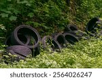  Tires illegally dumped at the edge of the forest in Germany                              