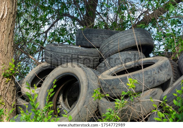 Tires old dump in the forest.\
Old tires pollute the nature. Environmental pollution. Ecology\
concept.