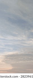 Title: Distant Bird Flying Through a Soft Pastel Evening Sky

Description: A small bird silhouette glides across a tranquil vertical sky filled with delicate blue-gray clouds and a subtle peach glow, creating a peaceful nature background with generous copy space.