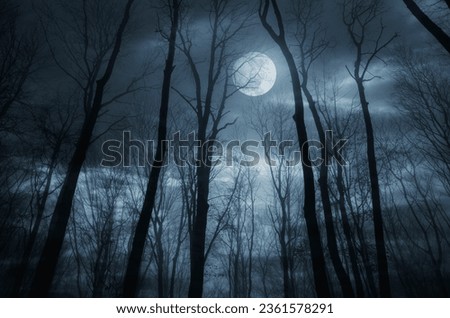 Title: night in the woods under full moon, dark fantasy halloween background