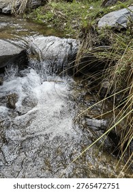 Title:
“Clear Stream with Mini Waterfall”  

The image shows a small natural stream flowing over smooth, weathered rocks, forming a miniature cascade. The clear flow creates bubbles and foam at the base, adding movement and texture. Surrounding the stream are patches of green grass and vegetation, with long blades leaning over the current to soften the composition. The photo captures a serene and detailed view of a natural feature, highlighting the interaction between the stream, rocks, and plant life in a tranquil outdoor setting.  

